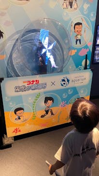 サンシャイン水族館に投稿された画像（2025/5/3）