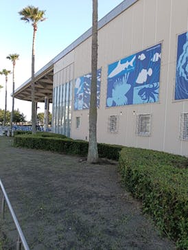 新江ノ島水族館に投稿された画像（2025/5/3）