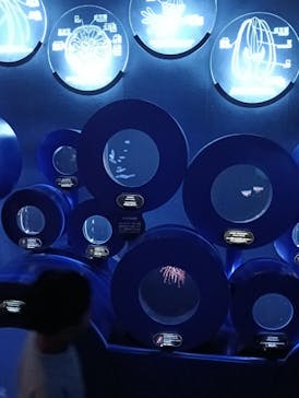 新江ノ島水族館に投稿された画像（2025/5/3）