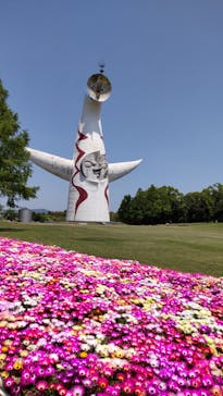 万博記念公園に投稿された画像（2025/5/3）