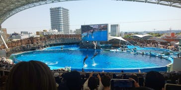 名古屋港水族館に投稿された画像（2025/5/3）