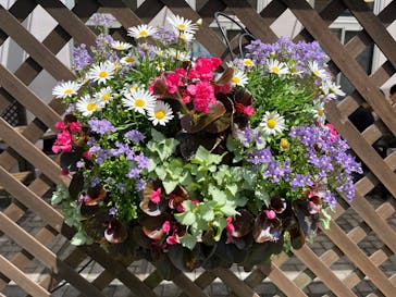 安城産業文化公園デンパークに投稿された画像（2025/5/3）