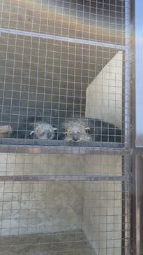 ANIMAL WONDER REZOURT 市原ぞうの国・サユリワールドに投稿された画像（2025/5/3）