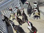 仙台うみの杜水族館に投稿された画像（2025/5/3）