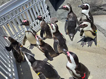 仙台うみの杜水族館に投稿された画像（2025/5/3）
