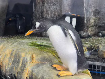 仙台うみの杜水族館に投稿された画像（2025/5/3）