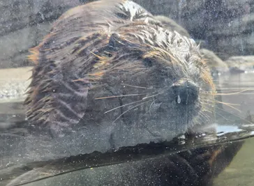 仙台うみの杜水族館に投稿された画像（2025/5/3）