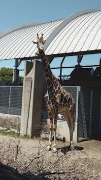 霞ケ浦 どうぶつとみんなのいえに投稿された画像（2025/5/3）