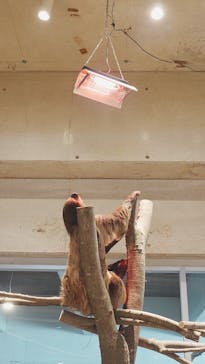 霞ケ浦 どうぶつとみんなのいえに投稿された画像（2025/5/3）