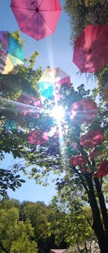 ムーミンバレーパークに投稿された画像（2025/5/3）