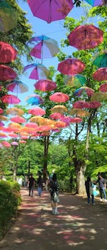 ムーミンバレーパークに投稿された画像（2025/5/3）