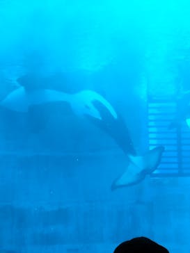 名古屋港水族館に投稿された画像（2025/5/3）