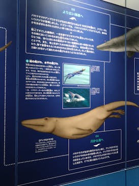 名古屋港水族館に投稿された画像（2025/5/3）