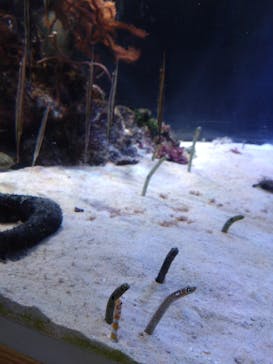 名古屋港水族館に投稿された画像（2025/5/3）