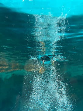 アクアワールド茨城県大洗水族館に投稿された画像（2025/5/3）