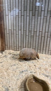 恩賜上野動物園に投稿された画像（2025/5/3）