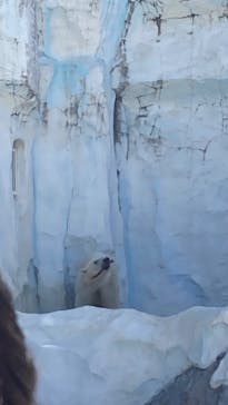 恩賜上野動物園に投稿された画像（2025/5/3）