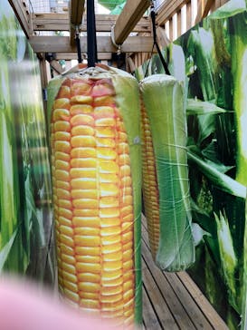 鈴鹿サーキットに投稿された画像（2025/5/3）