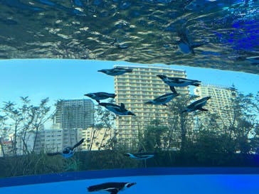 サンシャイン水族館に投稿された画像（2025/5/3）