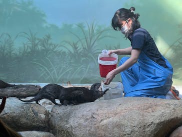 世界淡水魚園水族館　アクア・トトぎふに投稿された画像（2025/5/3）