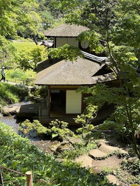 三溪園に投稿された画像（2025/5/3）