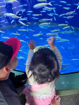 アクアワールド茨城県大洗水族館に投稿された画像（2025/5/3）
