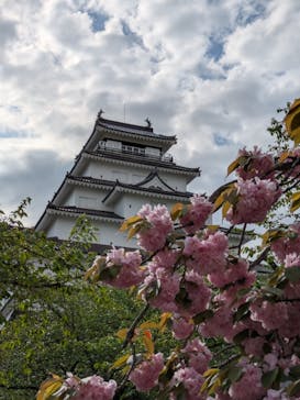鶴ヶ城に投稿された画像（2025/5/3）