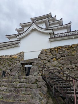 鶴ヶ城に投稿された画像（2025/5/3）