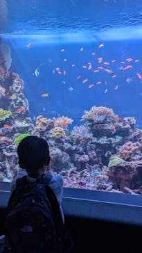 サンシャイン水族館に投稿された画像（2025/5/3）