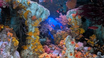 サンシャイン水族館に投稿された画像（2025/5/3）