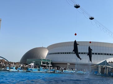 名古屋港水族館に投稿された画像（2025/5/3）
