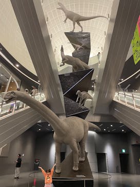 福井県立恐竜博物館に投稿された画像（2025/5/3）