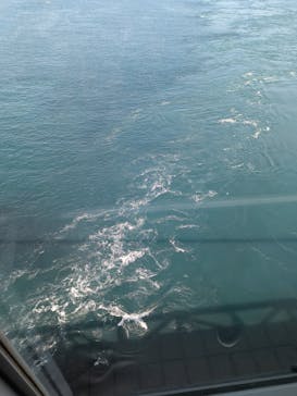 徳島県立 渦の道に投稿された画像（2025/5/3）