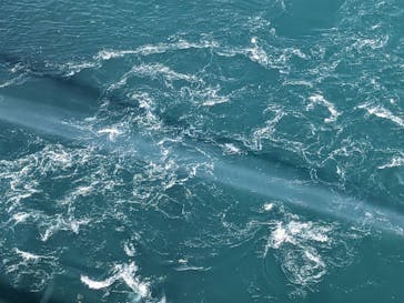 徳島県立 渦の道に投稿された画像（2025/5/3）