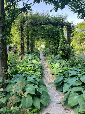 ACAO FORESTに投稿された画像（2025/5/3）