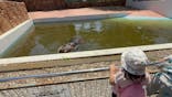 東武動物公園に投稿された画像（2025/5/4）