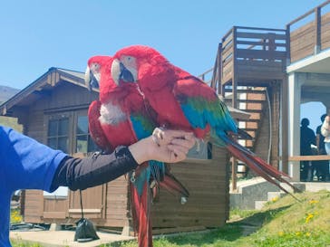 那須どうぶつ王国に投稿された画像（2025/5/3）