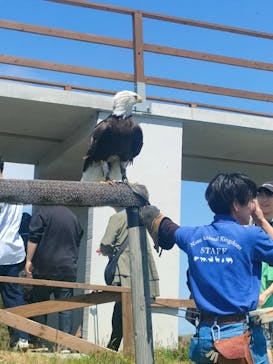 那須どうぶつ王国に投稿された画像（2025/5/3）