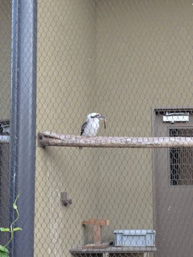 天王寺動物園に投稿された画像（2025/5/3）