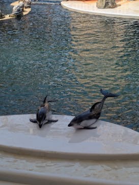 城崎マリンワールドに投稿された画像（2025/5/3）