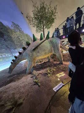 福井県立恐竜博物館に投稿された画像（2025/5/3）