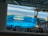 新江ノ島水族館に投稿された画像（2025/5/3）