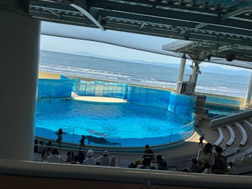 新江ノ島水族館に投稿された画像（2025/5/3）