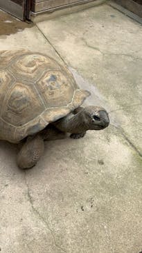 世界淡水魚園水族館　アクア・トトぎふに投稿された画像（2025/5/4）