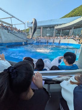 大分マリーンパレス水族館 「うみたまご」に投稿された画像（2025/5/4）