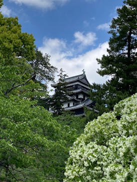 松江城に投稿された画像（2025/5/4）