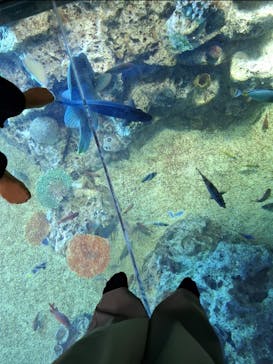 越前松島水族館に投稿された画像（2025/5/4）