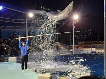 越前松島水族館に投稿された画像（2025/5/4）