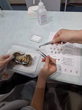 越前松島水族館に投稿された画像（2025/5/4）