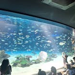 サンシャイン水族館に投稿された画像（2025/5/4）
